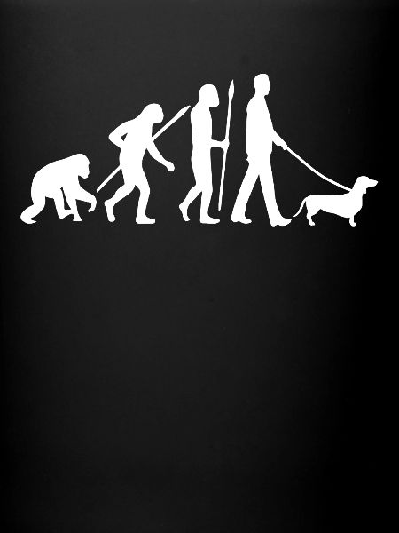 Dachshund Evolution