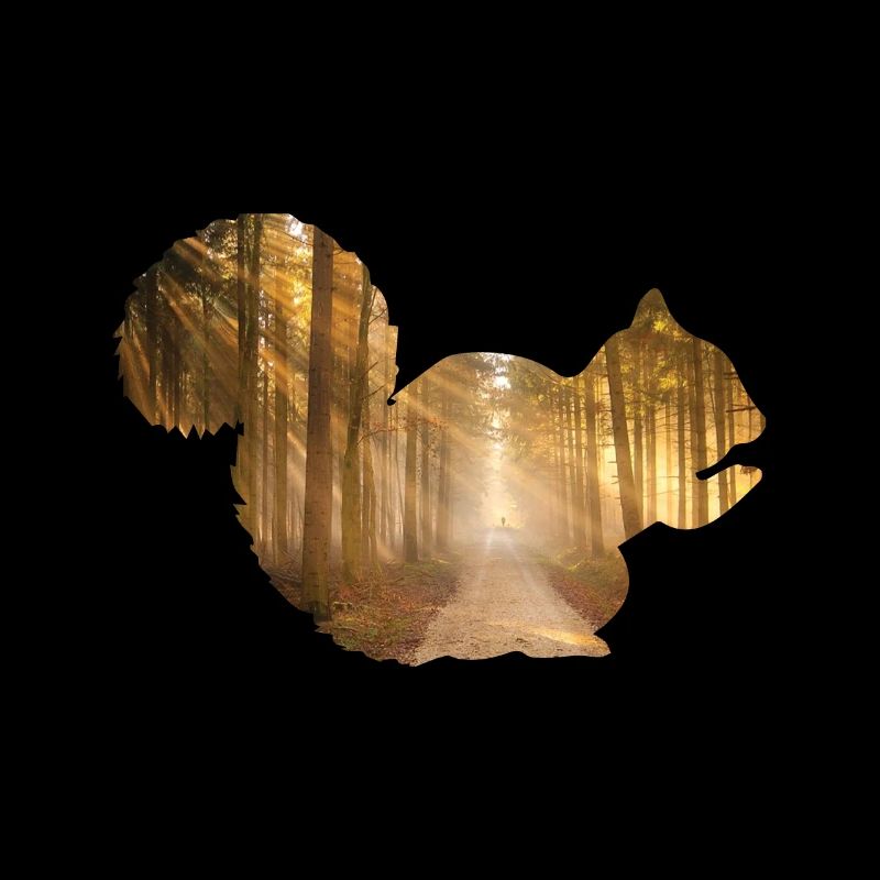 Forêt d'écureuil