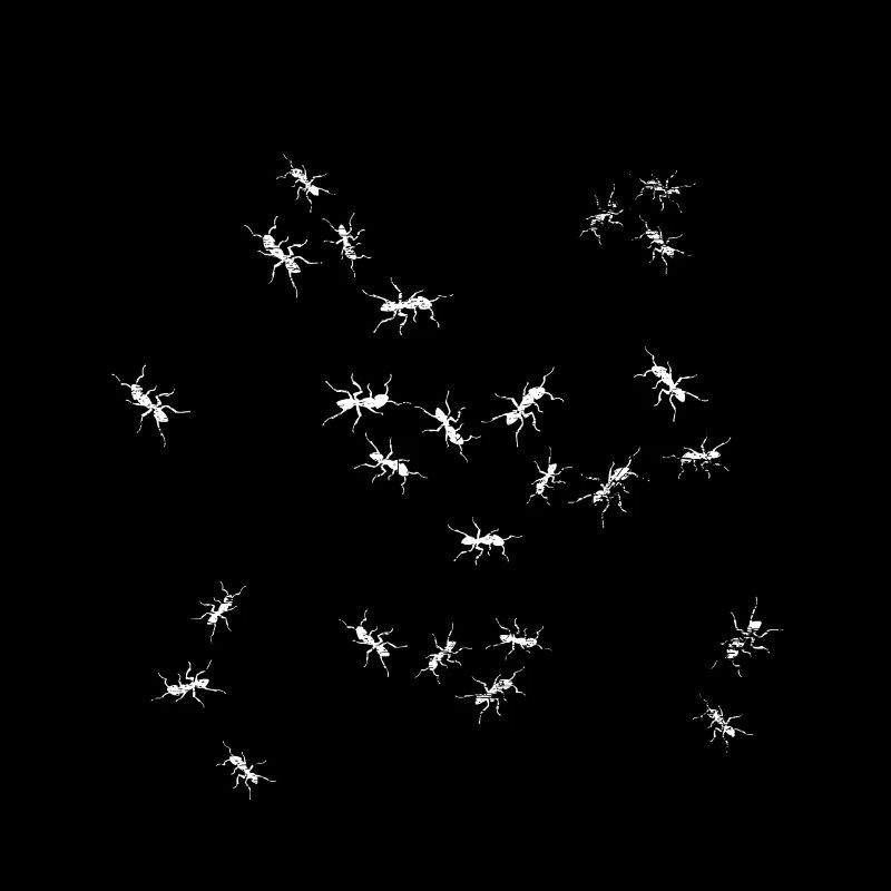 Groupe de fourmis