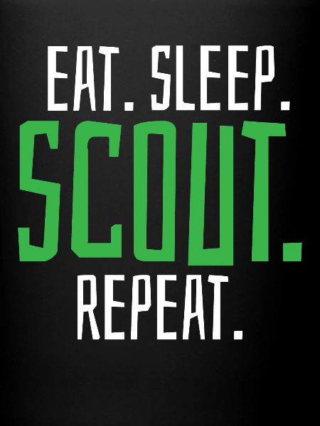 Scout Scouting