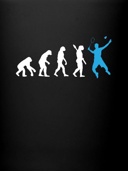 BADMINTON EVOLUTION BADMINTON DÉVELOPPEMENT