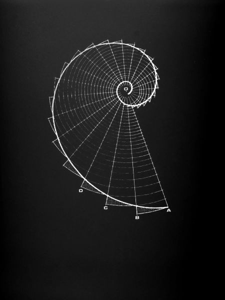 Fibonacci (chalk optics)