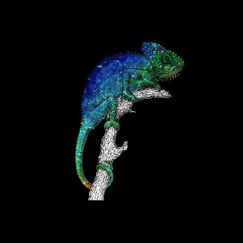 Caméléon coloré coloré
