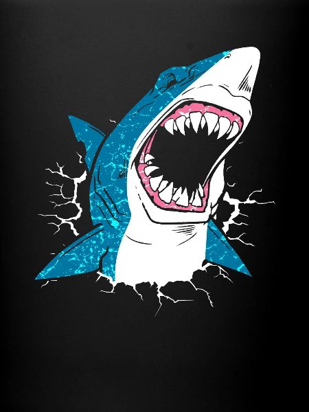 Requin requin