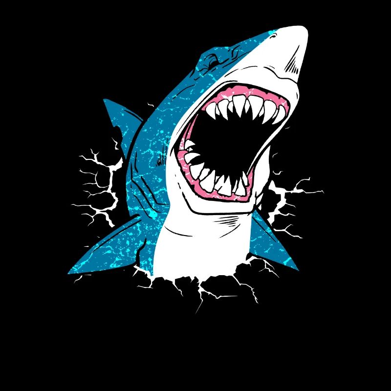 Shark shark shark