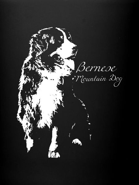 Bouvier Bernois