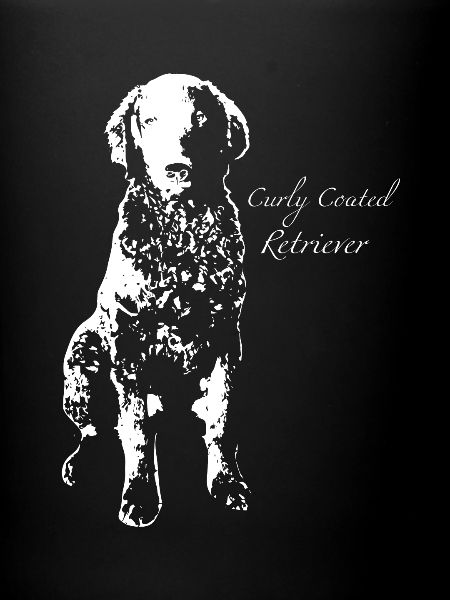 Curly Coated Retrievers