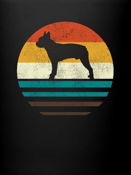 Boston Terrier
