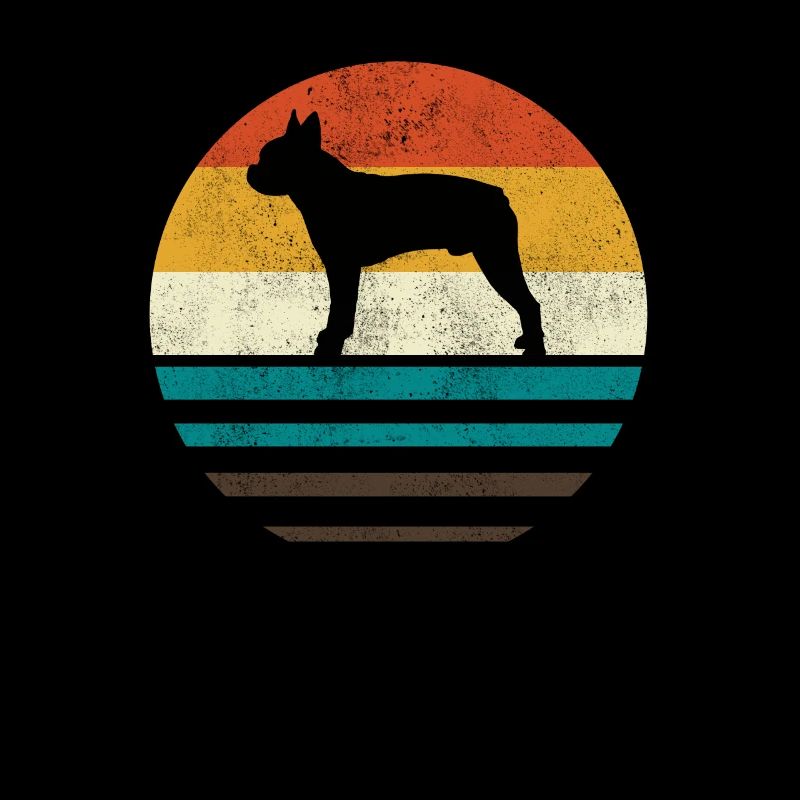 Boston Terrier