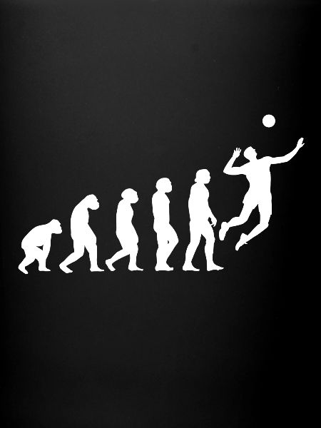 Volleyball Evolution