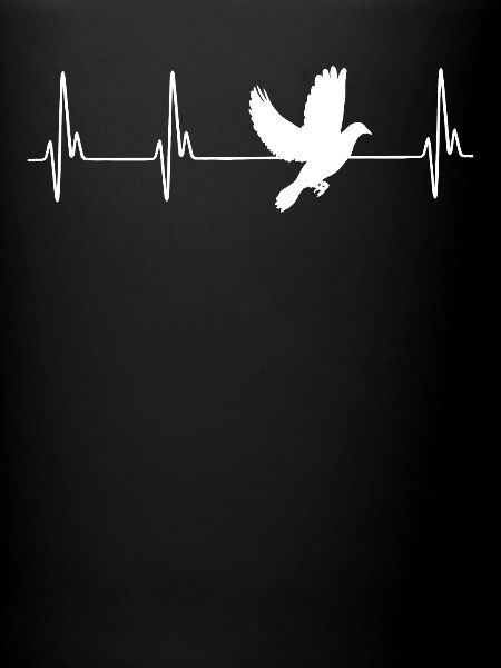 Dove ECG