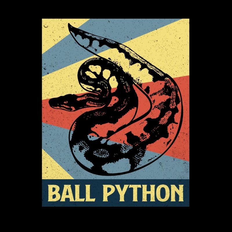 Python