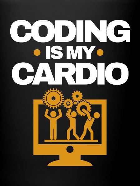 Software Developer
