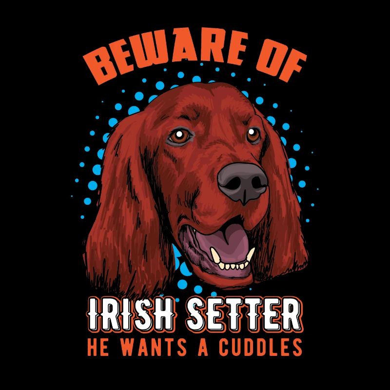 Irish setter