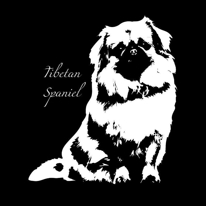 Tibetan Spaniel