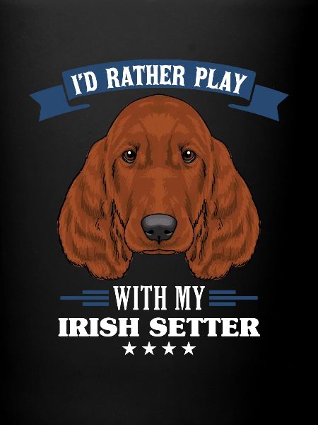 Irish setter