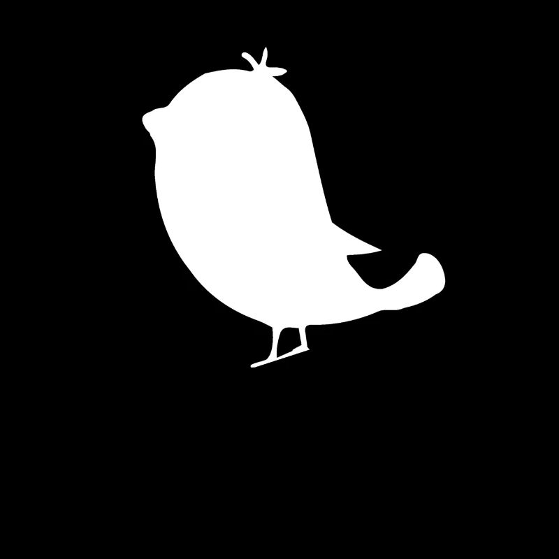 Observation d'oiseaux