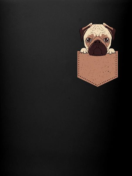 Pug