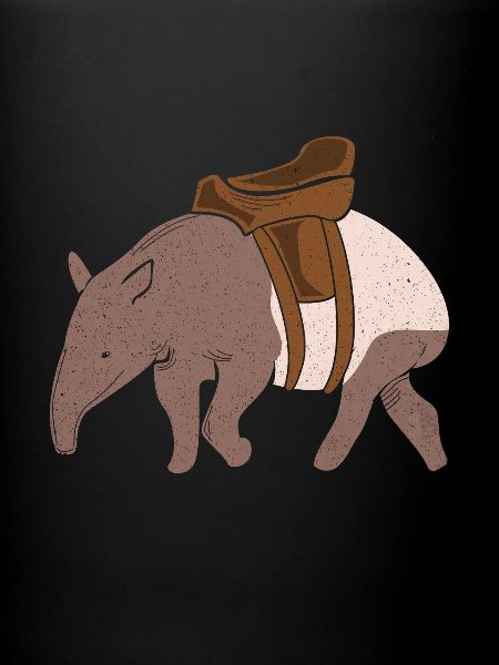 Tapir