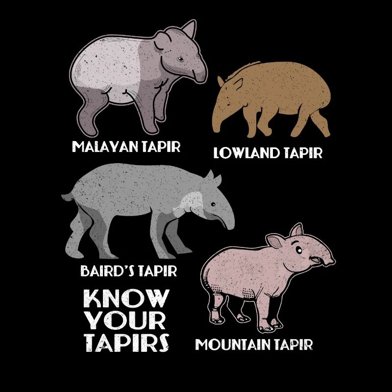 Tapir