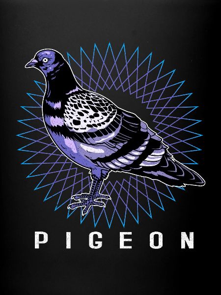 Pigeon