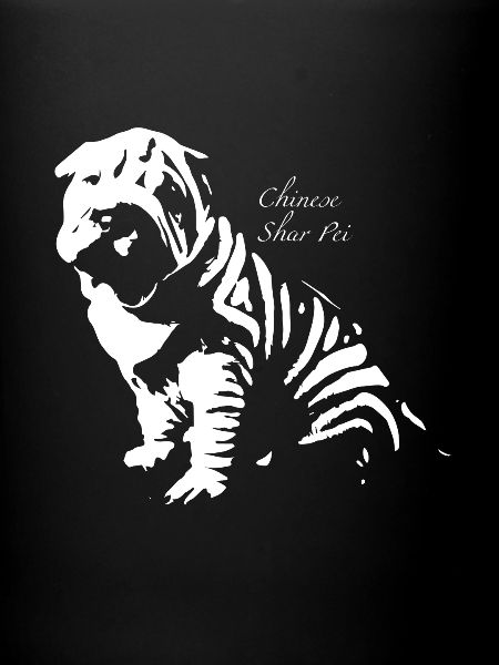 Shar pei chinois