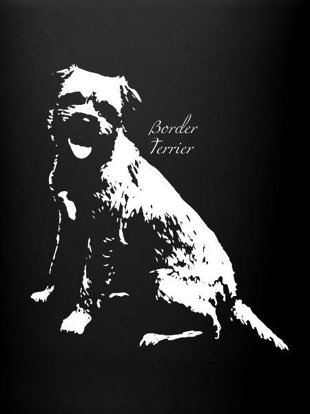 Border Terrier