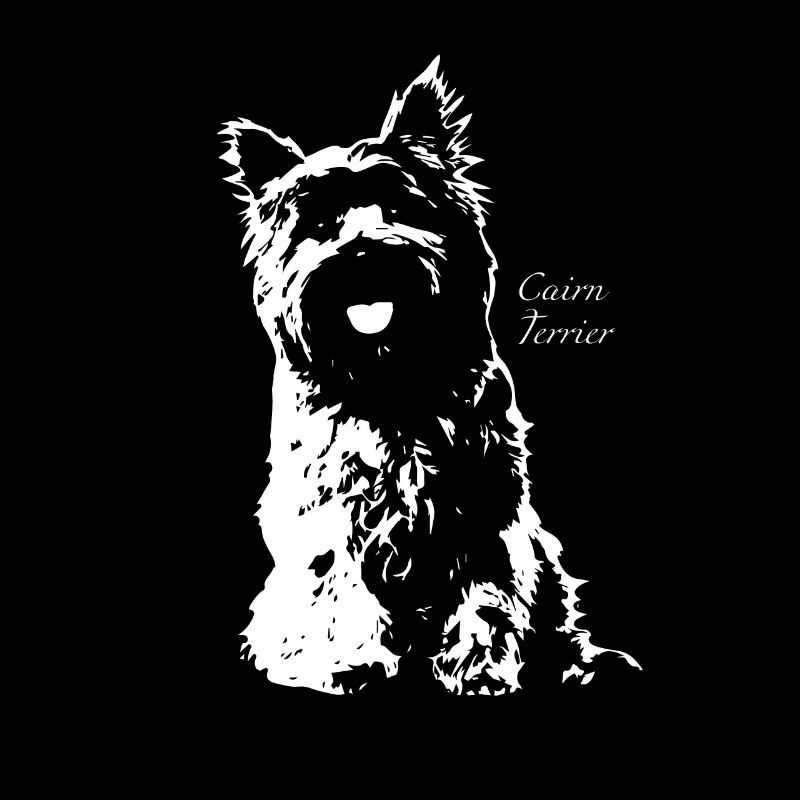 Cairn Terrier