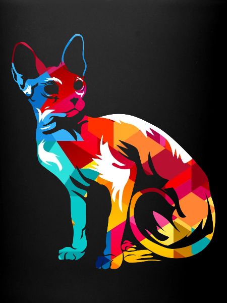 Chat Sphynx