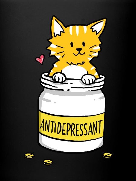 Cats antidepressant