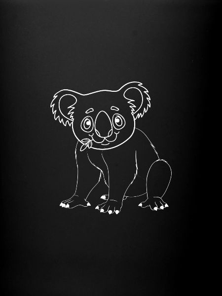 koala