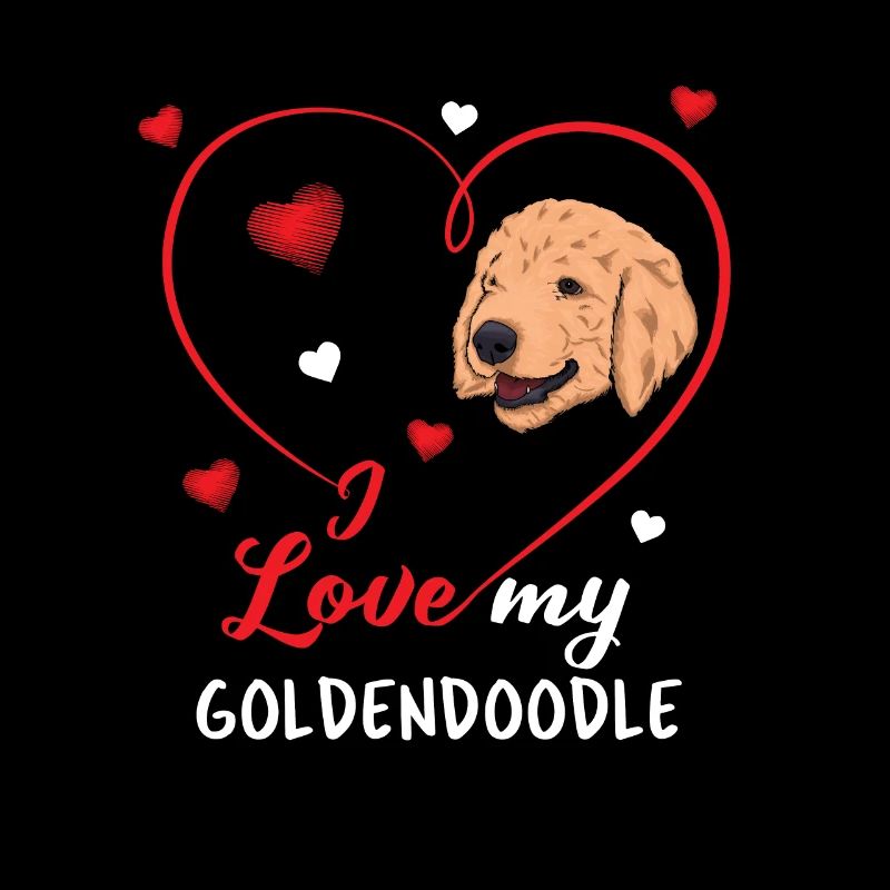 Goldendoodle