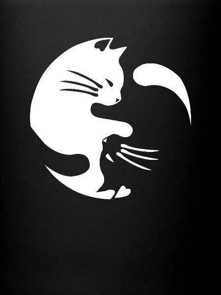 Chat yin et yang