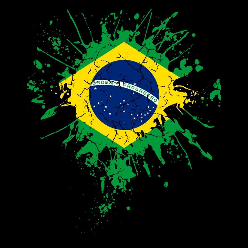 Brazil flag flag