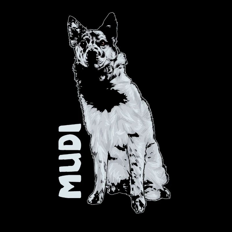 Mudi