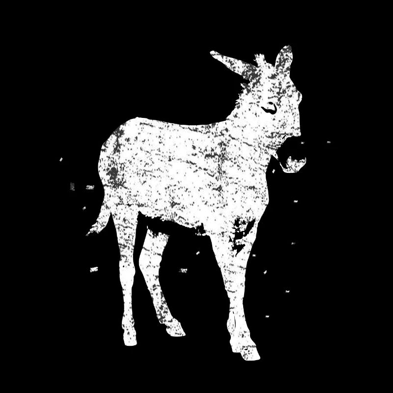 Donkey farm