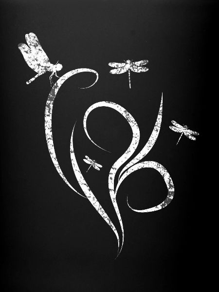 Dragonfly nature