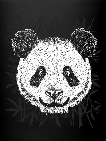 Panda Jungle Bamboo