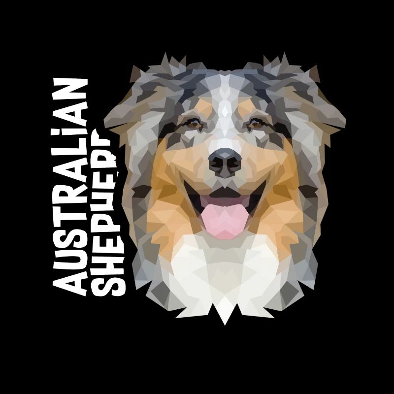 Australian Shepherd