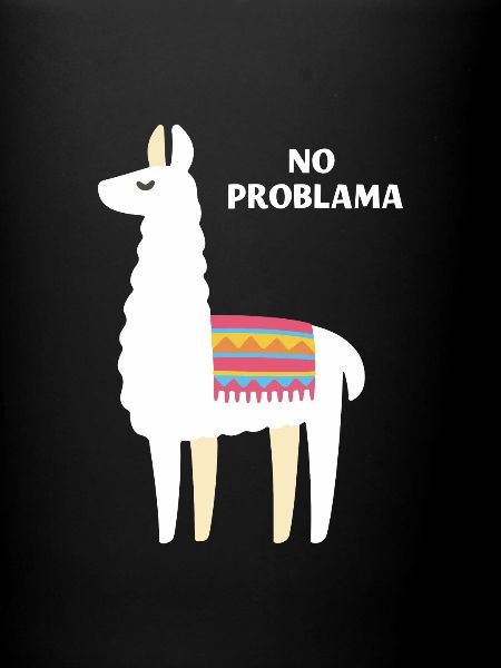 Llama animal