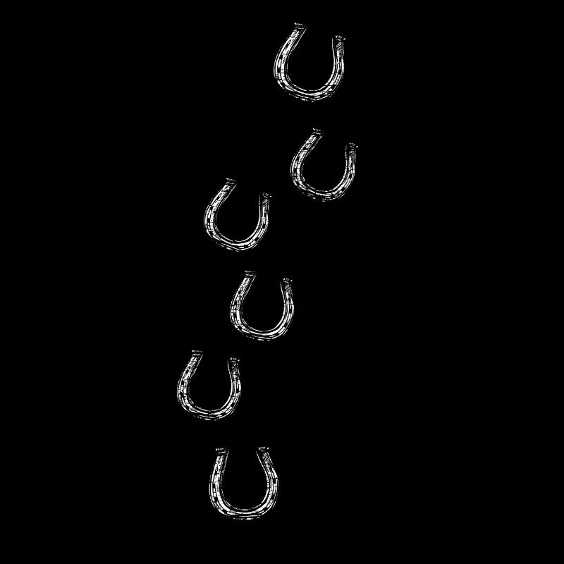 Horse horseshoe