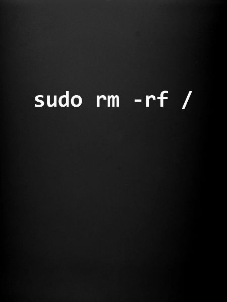 Programmeur Sudo Linux