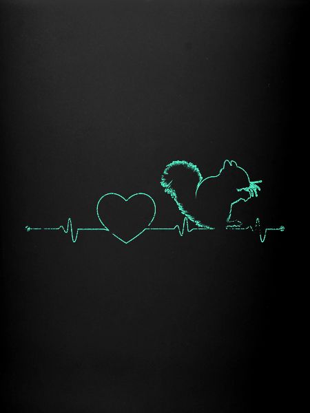 Squirrel heartbeat