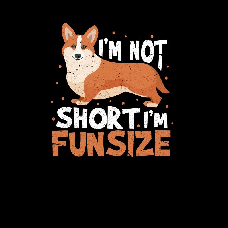 Corgi