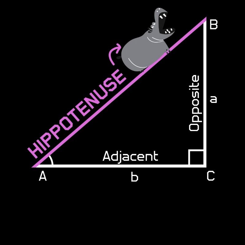 Idée de conception de cadeau de plaisanterie drôle de nerd Hippotenuse