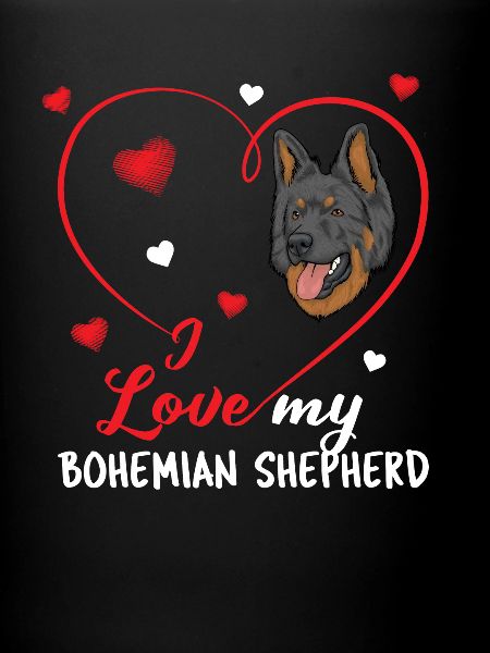 Bohemian Shepherd
