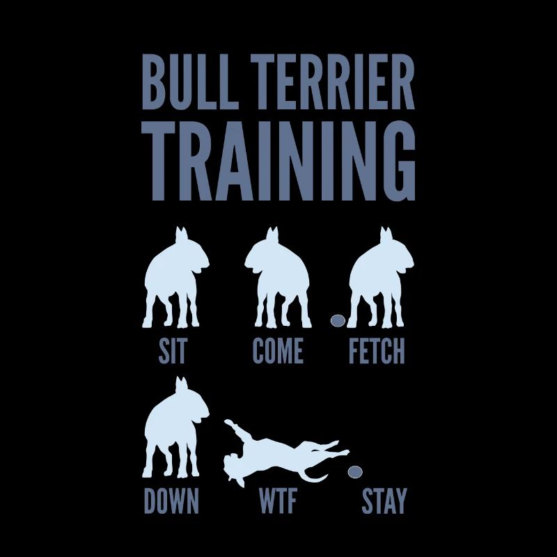 Bull Terrier Training