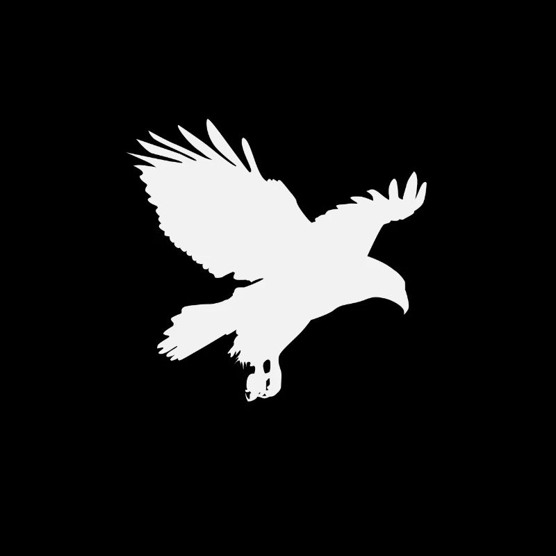 Eagle Eagle