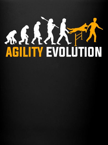 Evolution de l'agilité