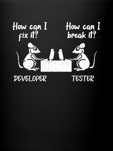 software developer